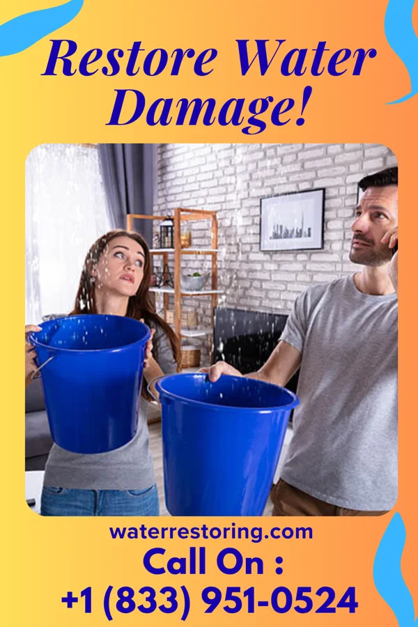 water restoration Zenith Restoration Solutions Experts Kingsland